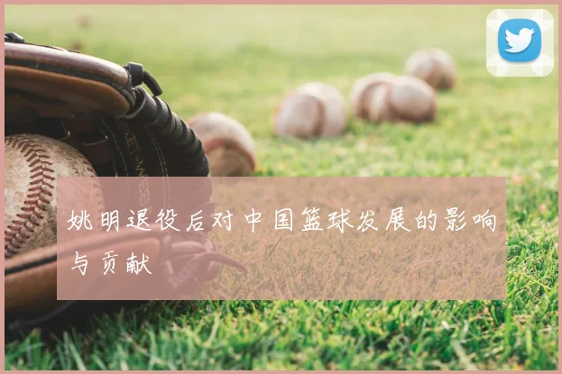 姚明退役后对中国篮球发展的影响与贡献